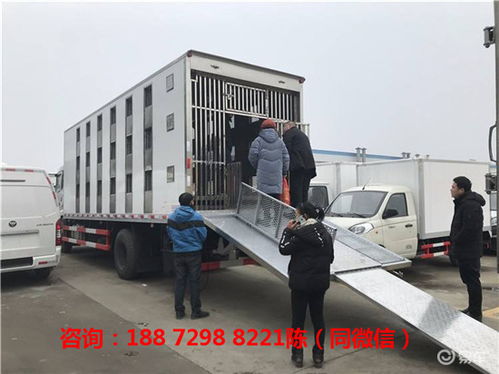 畜禽运输车的车辆种类与车牌类型全解析